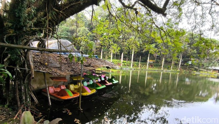 1749207940991-taman-wisata-alam-linggarjati-kuningan-1749102948094_169