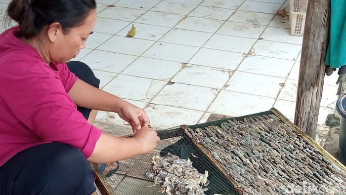 1749985525177-produksi-cicak-kering-di-kabupaten-cirebon-1749902041535_169