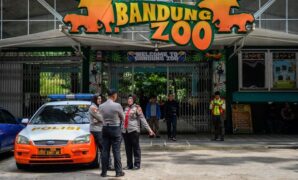 1760591849964-konflik-memanas-kebun-binatang-bandung-tutup-sementara-1751525846841_169