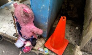 1760678010512-boneka-beruang-yang-nempel-di-punggung-serli-1760673533892_169