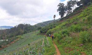 1760721406258-ayah-dan-anak-yang-hilang-di-lembah-tengkorak-telah-ditemukan-1760701610584_169