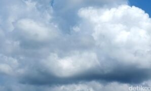 1760742875548-48be1663-d918-4ee4-aeb6-27d38b831e9c_169