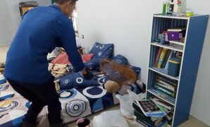 1760850780233-proses-evakuasi-kucing-liar-yang-masuk-rumah-warga-oleh-damkar-kuningan-1760831541180_169