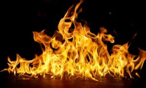 1761067044682-api-1756985712884_169