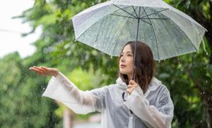 1761088492849-ilustrasi-hujan_169