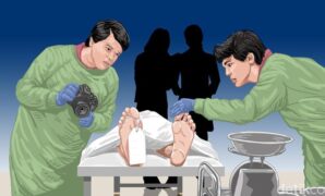 1761109988967-ilustrasi-autopsi-ulang_169