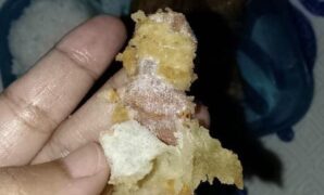 1761110057550-temuan-plester-di-tahu-goreng-menu-mbg-di-sukabumi-1761030934239_169