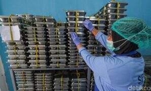 1761131804272-ilustrasi-makan-siang-gratis-1759218011364_169