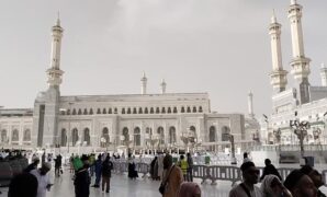 1761217986010-ilustrasi-jemaah-haji-indonesia-1747476638992_169