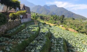 1761239586154-salah-satu-lahan-kebun-di-kuningan-yang-dikelola-bumdes-1761220229147_169