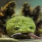 1761412368351-salamander-langka-1761203843753_169