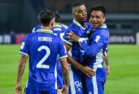 1761498873507-persib-bandung-1761018999961_169