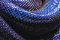 1761541960373-ular_169