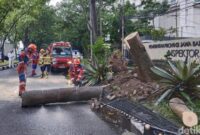 1761563667363-pohon-tumbang-di-jalan-surapati-kota-bandung-1761552950964_169