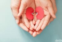 1761671594539-gagal-ginjal-akut-pada-anak_169