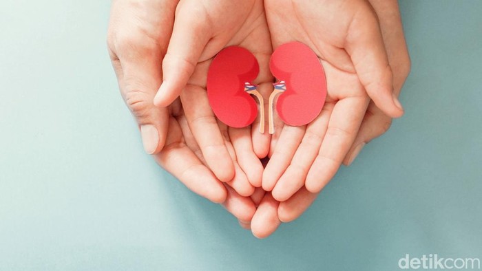 1761671594539-gagal-ginjal-akut-pada-anak_169