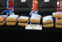 1761671817429-pemkab-bogor-1761653672815_169