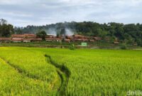 1761715256893-suasana-desa-wisata-cibuntu-kuningan-1761542328736_169