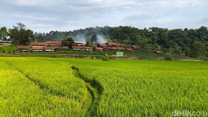 1761715256893-suasana-desa-wisata-cibuntu-kuningan-1761542328736_169