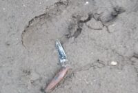 1761736406675-penampakan-pisau-dapur-yang-digunakan-es-menikam-dani-temannya-sendiripenampakan-pisau-dapur-yang-digunakan-es-menikam-dani-te-1761731447560_169