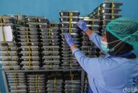 1761758000406-ilustrasi-makan-siang-gratis-1759218011364_169