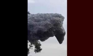 1761758072574-gumpalan-hitam-yang-terbang-di-langit-subang-1761738875770_169