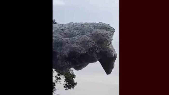 1761758072574-gumpalan-hitam-yang-terbang-di-langit-subang-1761738875770_169