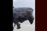 1761801616188-gumpalan-hitam-yang-terbang-di-langit-subang-1761738875770_169