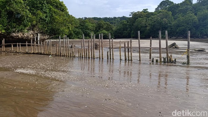 1761887806172-kondisi-pagar-laut-cagar-alam-pangandaran-dan-rusa-yang-berada-diluar-kawasan-twa-1761638000350_169