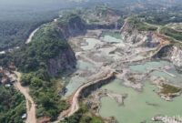 1761909212504-parung-panjang-tanpa-tambang-luka-ekonomi-obat-lingkungan-1761399588738_169