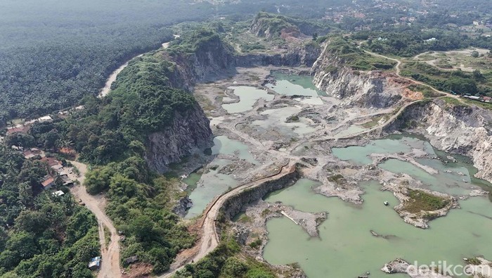 1761909212504-parung-panjang-tanpa-tambang-luka-ekonomi-obat-lingkungan-1761399588738_169