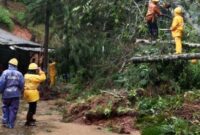 1761930981777-longsor-di-jalur-selatan-garut-1761914174563_169