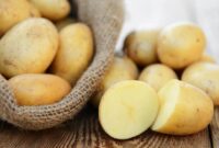 1761952392118-ilustrasi-kentang_169