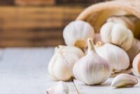 1761952505448-ilustrasi-bawang-putih_169