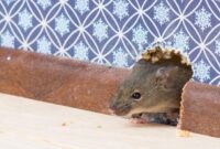 1761974025672-526538639_169