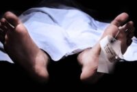 1762233340923-ilustrasi-orang-meninggal_169