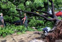 1762254747532-pohon-tumbang-di-bandung-1762254065781_169