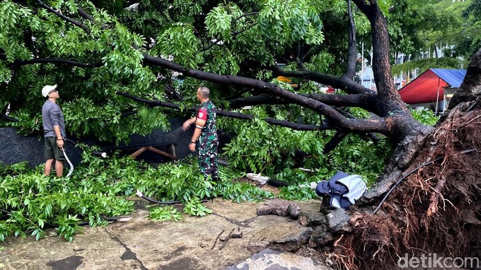 1762254747532-pohon-tumbang-di-bandung-1762254065781_169