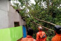 1762406222972-dok-bpbd-ciamis-petugas-bpbd-ciamis-melakukan-penanganan-bencana-akibat-angin-kencang-di-kecamatan-sindangkasih-kabupaten-ciam-1762389964793_169