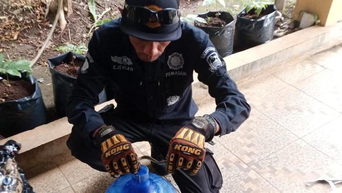 1762427712480-proses-evakuasi-ular-di-kuningan-1762419548669_169