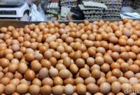 1762449400404-ilustrasi-harga-pangan-di-palembang_169