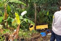 1762449518974-truk-terjun-ke-jurang-korban-selamat-1762428486910_169