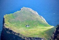 1762535731720-0a704f70-55b6-4e8c-aa99-9f9e245b1cb4_169