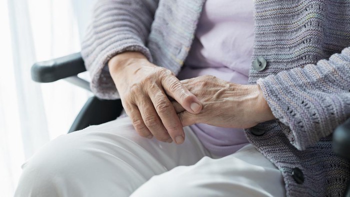 1762557227538-ilustrasi-lansia-1745832803695_169