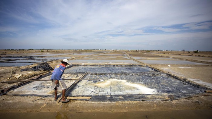 1762643678131-cuaca-tak-bersahabat-produksi-garam-rakyat-di-cirebon-lumpuh-1756294592475_169