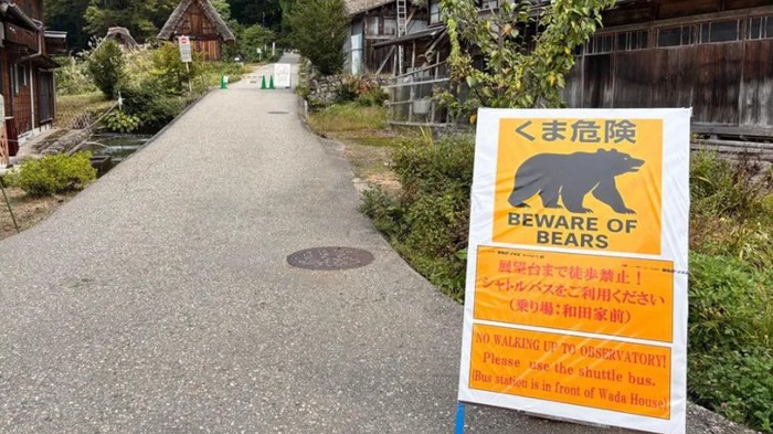 1762708423179-beruang-di-jepang-1761915444944_169