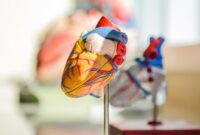 1762708439219-ilustrasi-sakit-jantung-koroner_169