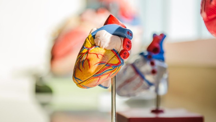 1762708439219-ilustrasi-sakit-jantung-koroner_169