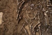 1762924581921-ilustrasi-kerangka-manusia_169