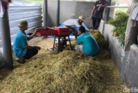 1762946146470-odgj-dilatih-berdaya-di-kuningan-1762925477560_169